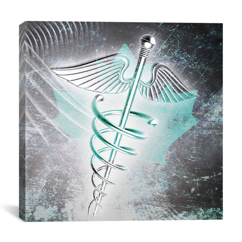 Impression sur toile, "canada health care", H 26 po x l 26 po x P 0,75 po