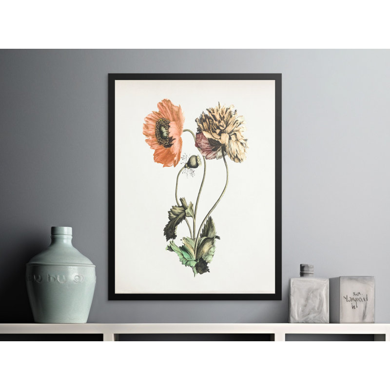 Subani Single Picture Frame Print, 76.2 cm H x 50.8 cm W