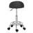 Clairann Backed Adjustable Height Ergonomic Lab Stool with Footrest and Removable Casters/Wheels