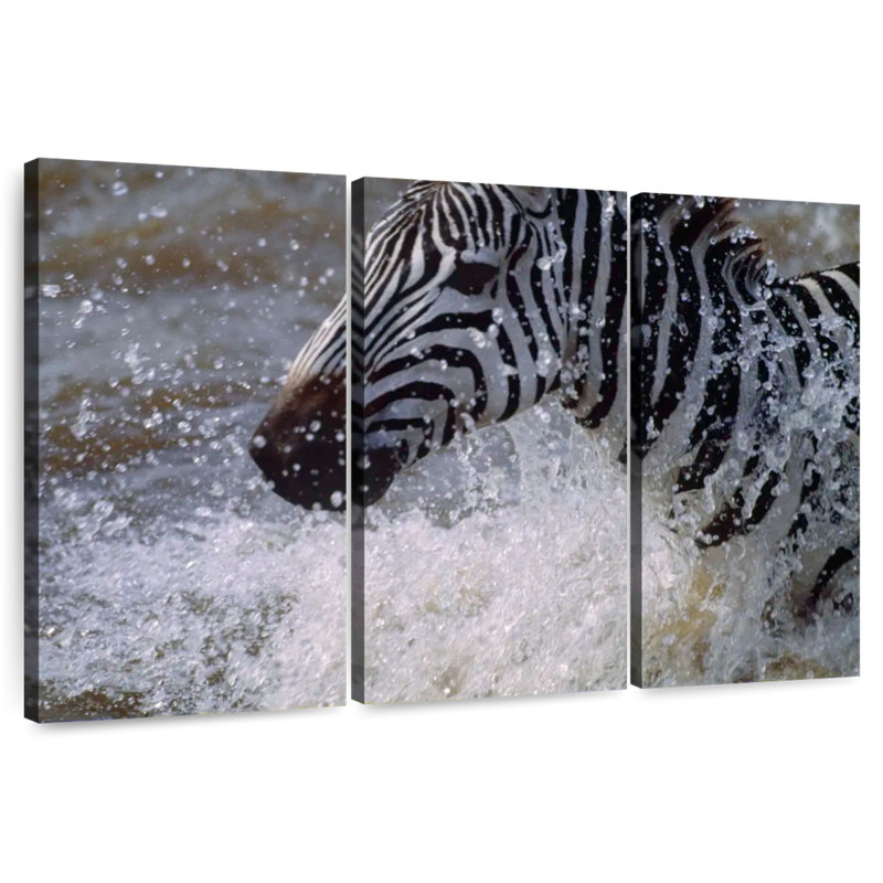 Brampt Zebra Splash, 20" H x 33" W