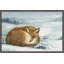 Sheltered 1 Piece Single Picture Frame Painting-1365677617