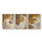 Abstract  Series  CXLV  -Set Of 3 Framed Giclee Prints -Ready to Hang-107252659-107252657