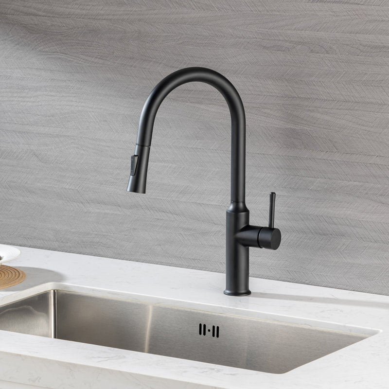 Rainlex Pull Down Kitchen Faucet, Matte Black