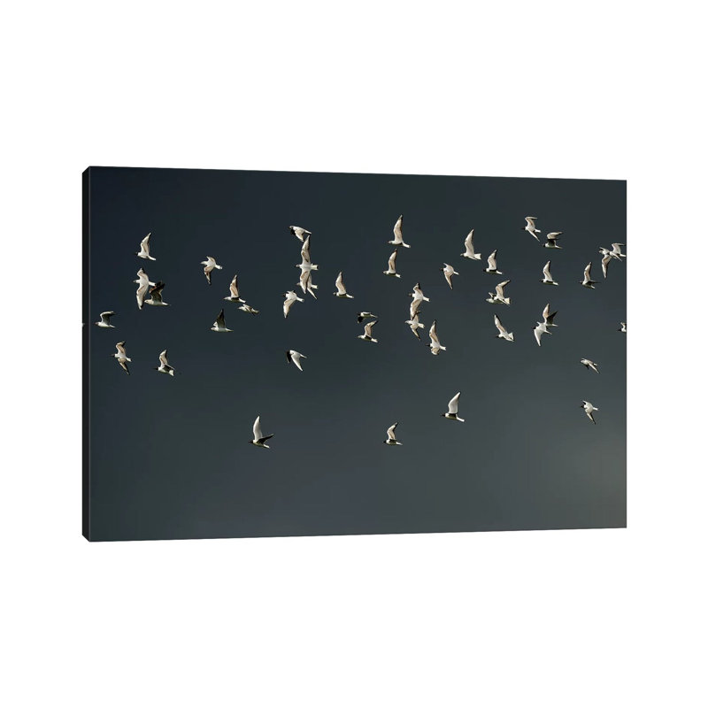 «The Swarm» par Elmar Weiss - photographie sur toile tendue, H 18 po x l 26 po x P 1,5 po