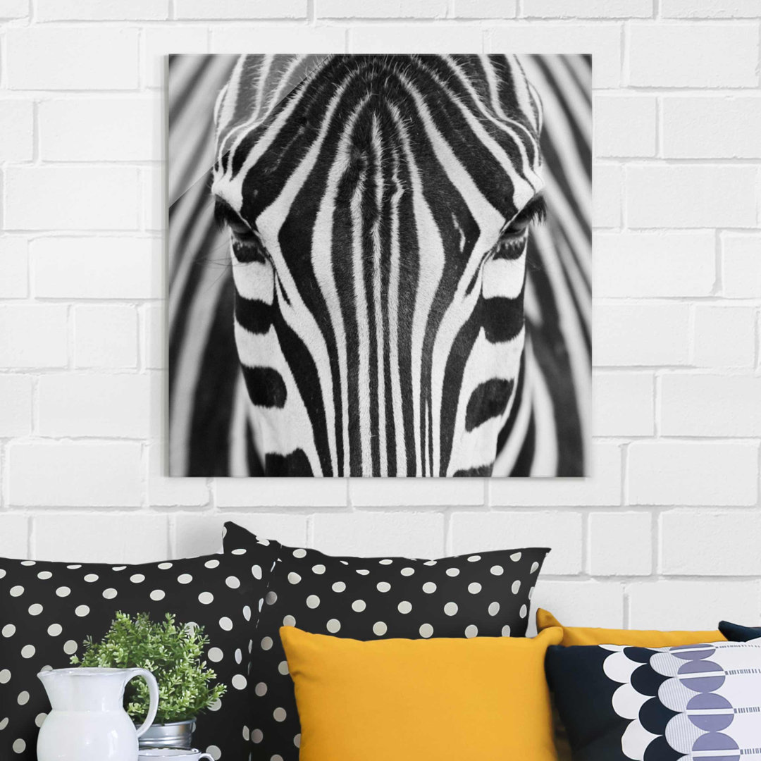 Zebra Look