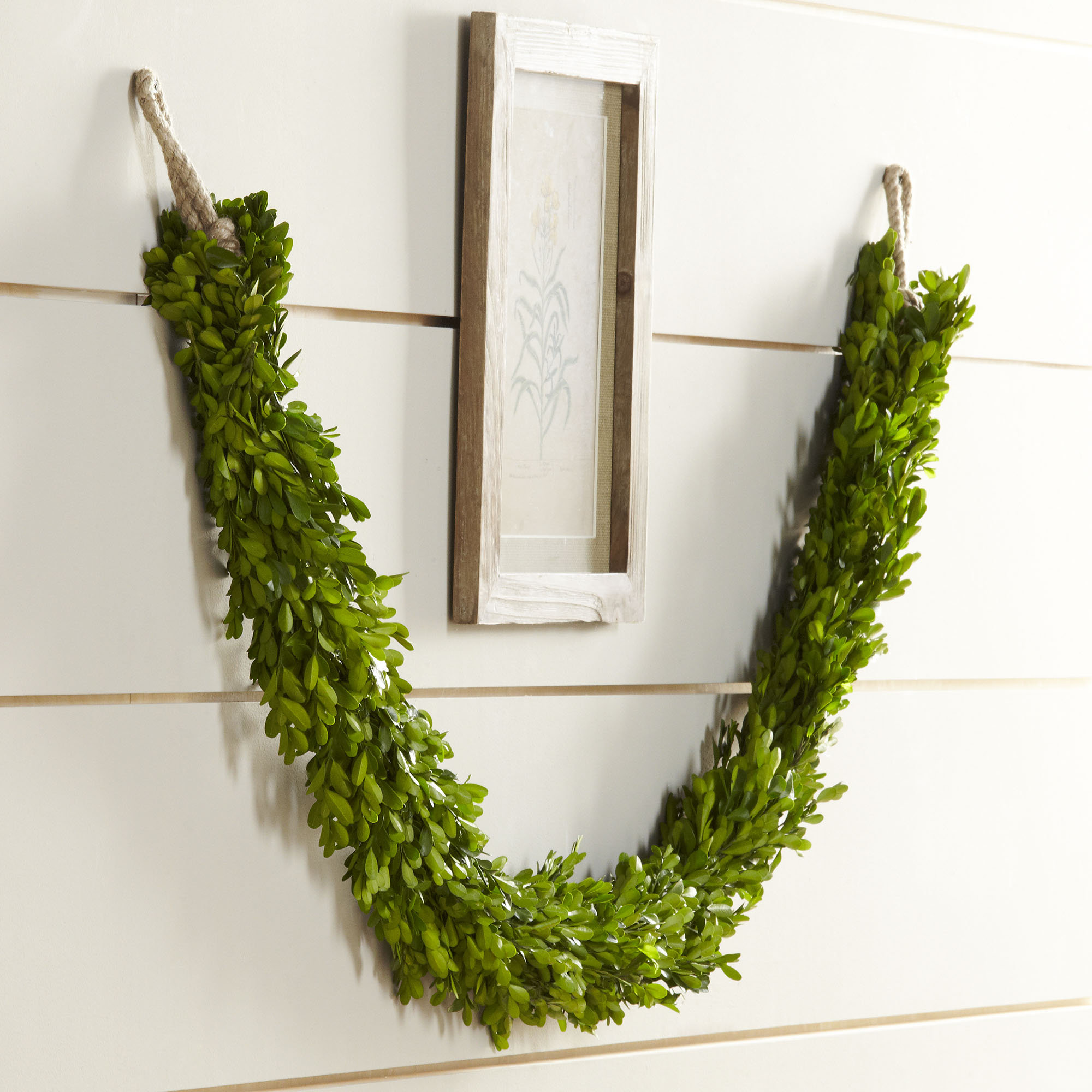 Joss & Main Preserved Boxwood Garland & Reviews | Joss & Main