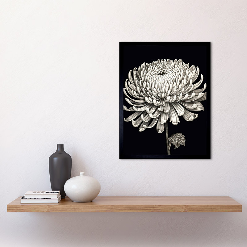 Gerhardina Detailed Illustration Chrysanthemum Bloom Flower - Single Picture Frame Print