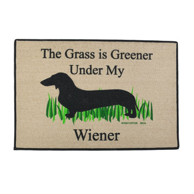 Monette Non-Slip Indoor Doormat