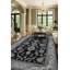 Aaronae Oriental Area Rug in Ash