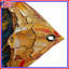 Tapisserie murale «Three Majestic Lions» - décoration murale Lions-129727010