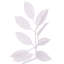 Guirlande 6 'Gardenia