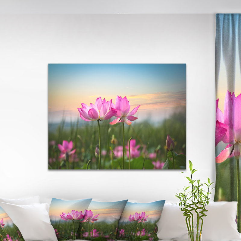 «Blooming Lotus Flowers at Sunset», photographie, L 60 po x H 28 po, Toile tendue