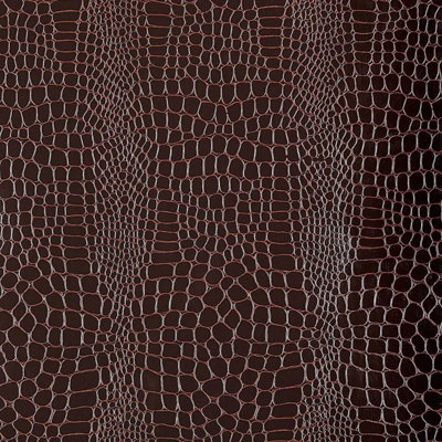 Crocodile Wallpaper