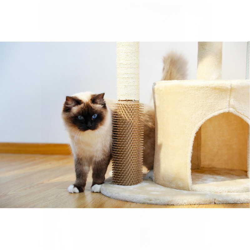 Arbre à chat 32,7 po pour petits chats, Beige