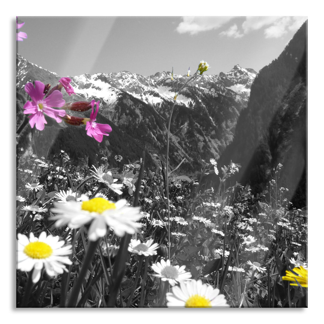 Glasbild Alpenblumen