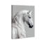 Jeweled Mane I Print by Oliver Gal-1283092002-1283092025