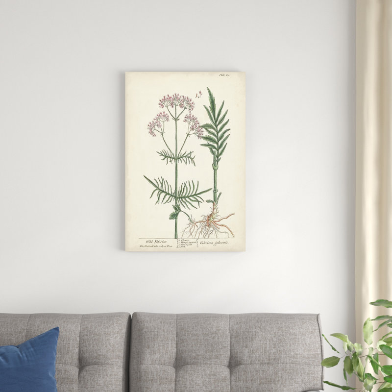 Herbes antiques I, H 30 po x l 20 po