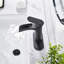 Waterfall Tap with Waste-2105021985