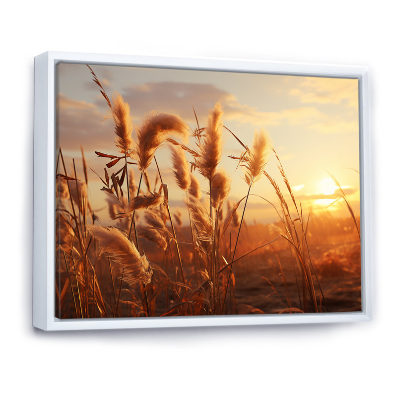 Coucher de soleil, Meadows d'été I, Cadre flottant blanc, H 24 po x l 32 po x P 1 po