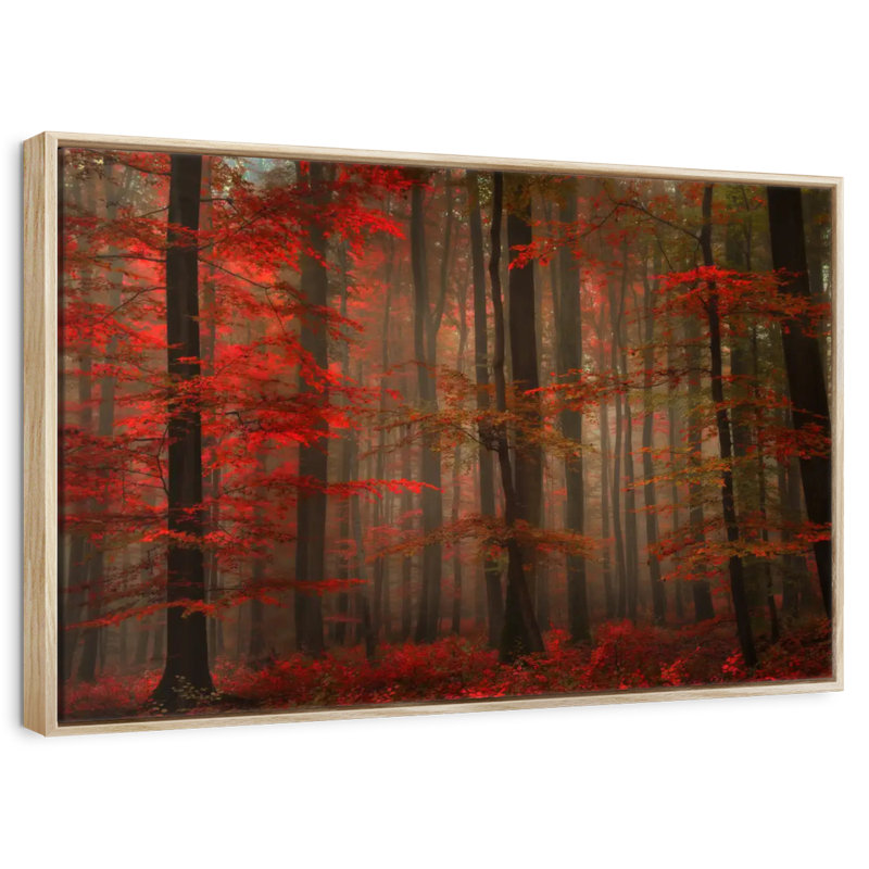 Fiery Autumn Forest, Cadre flottant en bois naturel, 40 po x 27 po