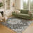 Machine Washable Indoor/Outdoor Chantille ACN2463 Traditional Rug-2027635564-2027635562