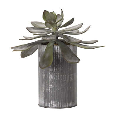 10'' Faux Echeveria Plant in Metal Planter