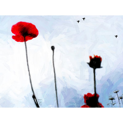 Poppies With Daisies & Crows Print by Tom Kostes