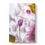 Fallen Pink Petals - Wrapped Canvas Painting-56634816