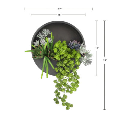 Sedum, Echeveria and Aloe Displayed in Fiberstone Wall Planter
