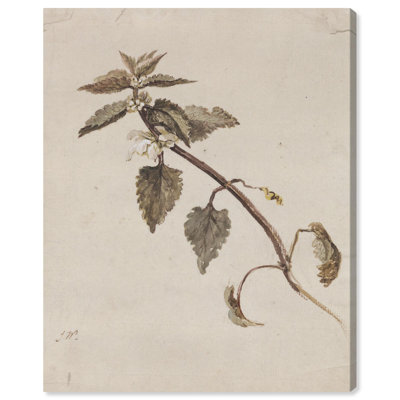 «Foliated Branch» par Art Remedy