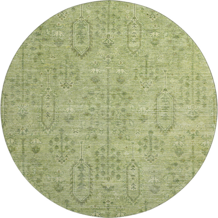 Premium Machine Washable Prisco Sage Rug