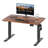 Hieronymus Electric Adjustable T-Shape Standing Desk Home Desk With Backpack Hook And Memory Smart Pannel-1651524266-1626604754