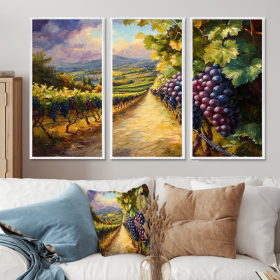 Vineyard In California Summer II - Vineyard Large Wall Art - Set Of 3