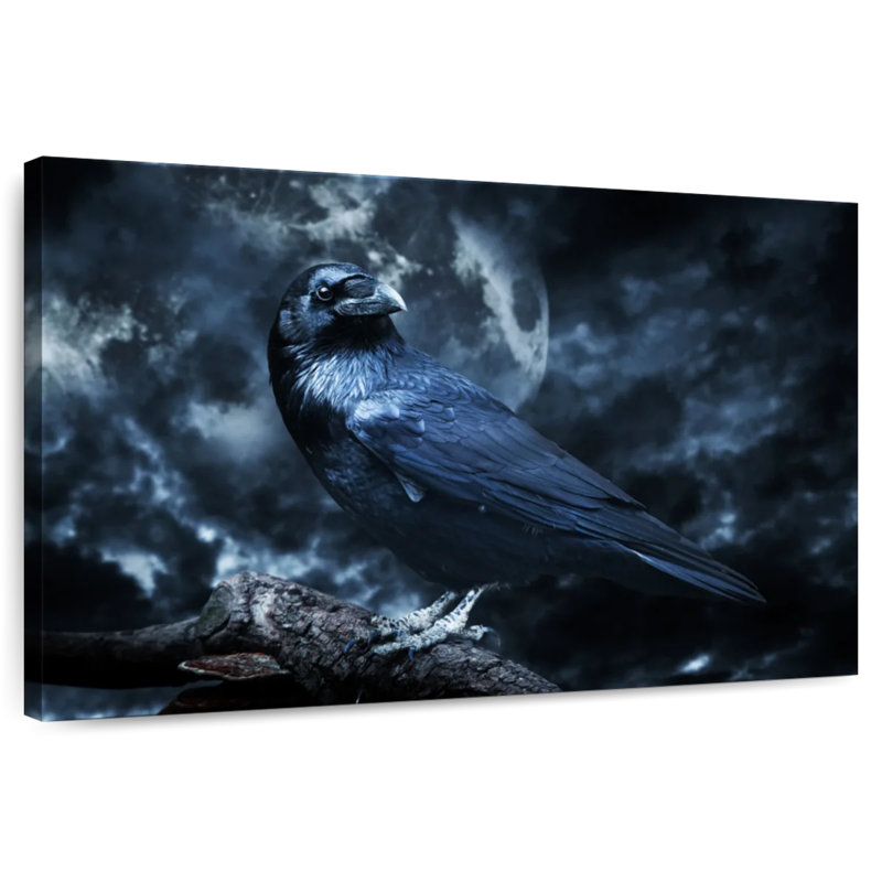 Hitzel Black Raven, 20" H x 30" W