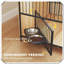 Table d'appoint pour animaux de compagnie