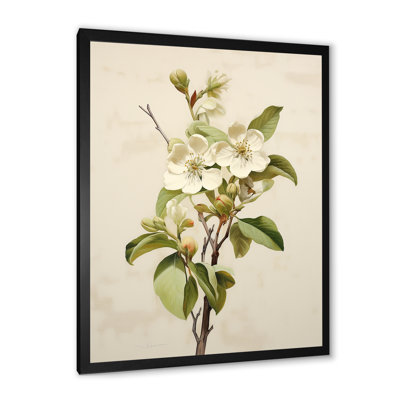 Fleur de pommier minimaliste beige I - fleur de pommier_106421