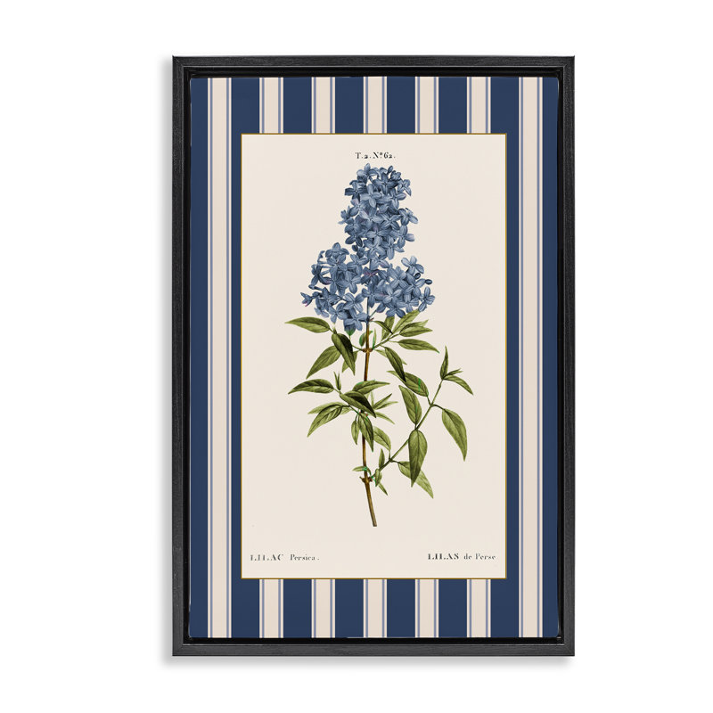 Cadre flottant Lilac Study Over Stripes, design par Corinne Haig, Cadre flottant noir de jais, H 25 po x l 17 po
