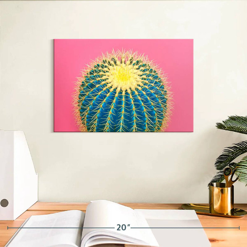Harnek Funky Cactus, H 8 po x l 12 po