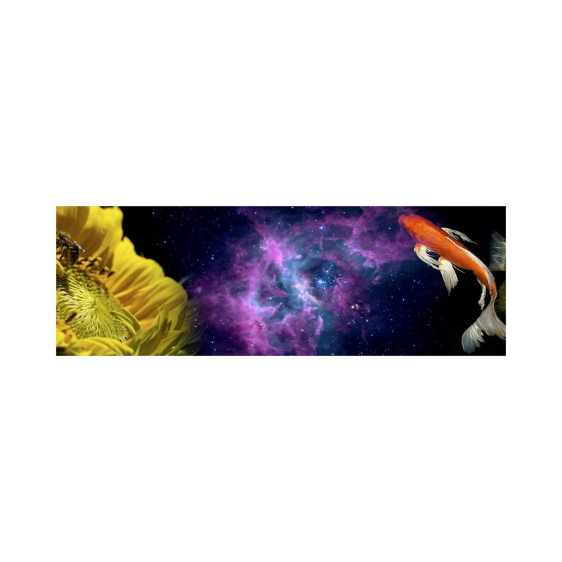 Sunflower And Koi Carp In Space by Panoramic Images - Wrapped Canvas Panoramic Print, 30.48 cm H x 91.44 cm W x 1.91 cm D