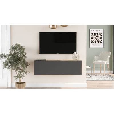 TV Unit