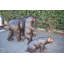 Statues de bronze grandeur nature avec ours en forme de maman et 3 petits 64 po x 26 po x H 43 po