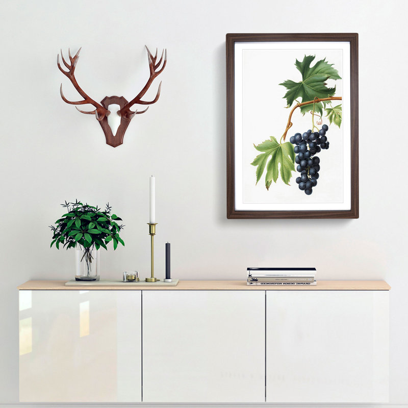 Brachetto Grapes by Giorgio Gallesio - Picture Frame Painting Print, 65cm H x 48cm W x 2cm D, Walnut Framed