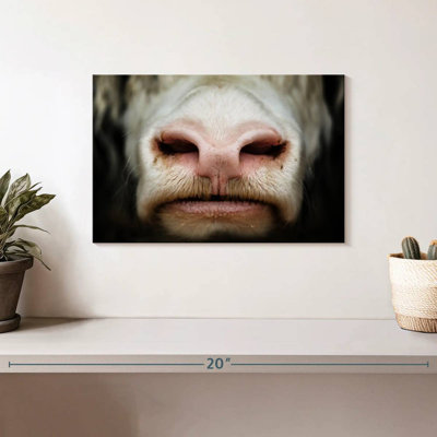 Brampt Cow Muzzle