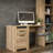 Bergenfield 120Cm W Rectangle Computer Desk with Cabinet