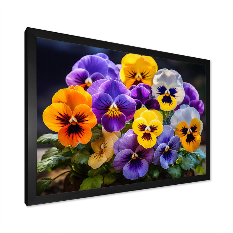 «Purple Pansies Vibrant Pansies», reproduction d'art sur toile encadrée, Cadre simple noir, H 34 po x l 44 po x P 1,5 po