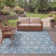 Colwart Performance Ikat Indoor/Outdoor Area Rug