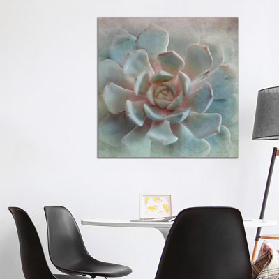 Pastel Succulent II 1 Piece Wrapped Canvas Painting