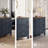 Leani Dresser