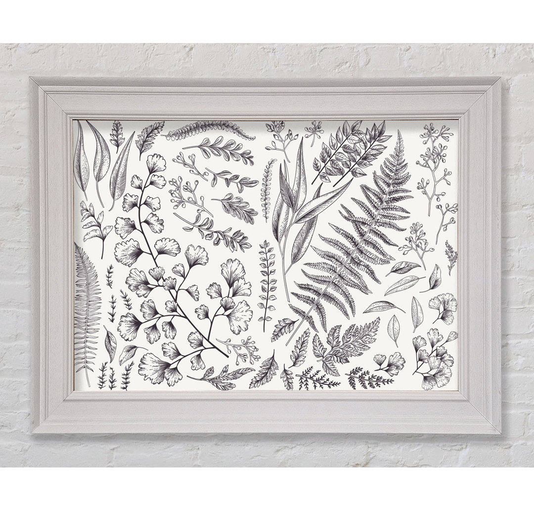 Natures Leaves Hand Drawn - Single Picture Frame Kunstdrucke