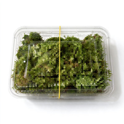Tapis de mousse artificiel - Mousse verte réaliste pour jardinières, terrariums et projets d'artisanat, 1,6 x 0,8 x 0,4 po